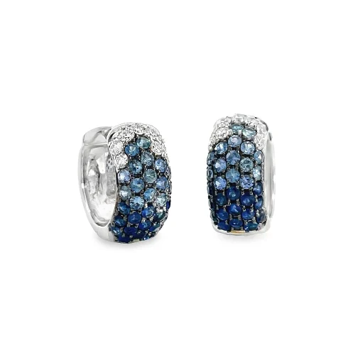 Our Night Sky Earrings