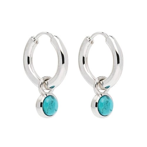 Turquoise Silver Earrings